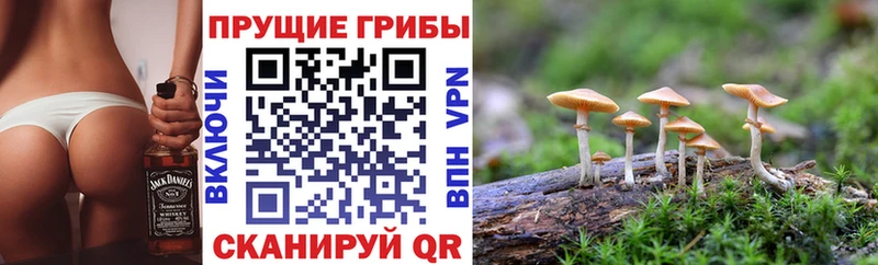 Галлюциногенные грибы мицелий Протвино